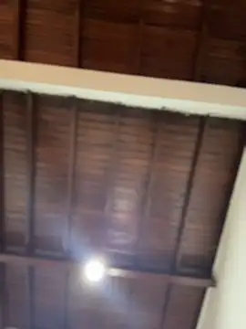 emiss  online show from 12-02-25, 03:51