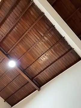 Snapshot of emiss_ chatting on 02-01-26, 02:37 emiss online show from 02-01-26, 02:37