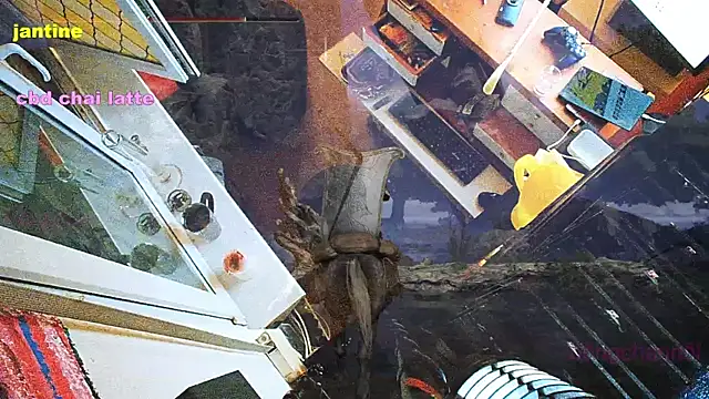 BongChannel online show from 03-09-25, 03:54