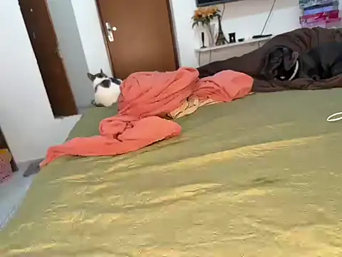 Snapshot of BRUALENC chatting on 02-24-26, 09:29 BRUALENC online show from 02-24-26, 09:29