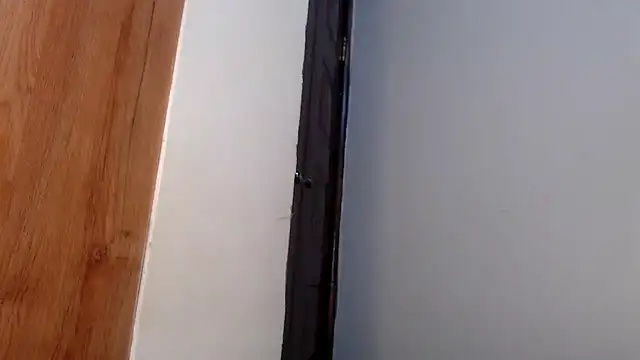 wetpussy ebony online show from 04-06-26, 06:25