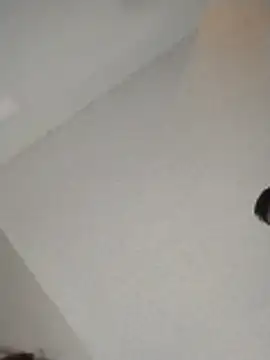 Snapshot of xWhoreAbleX_Pika chatting on 11-30-25, 03:16 xWhoreAbleX Pika online show from 11-30-25, 03:16