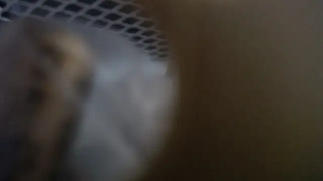 Snapshot of lovense_test04 chatting on 01-19-26, 10:30 lovense test04 online show from 01-19-26, 10:30