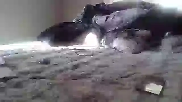 cassieleeknight11 online show from 01-17-25, 02:39