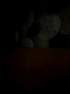 Kristis43 online show from 10-31-25, 05:36