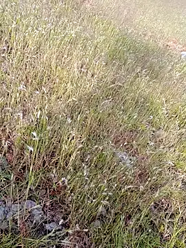 sexoooj online show from 10-22-25, 10:37