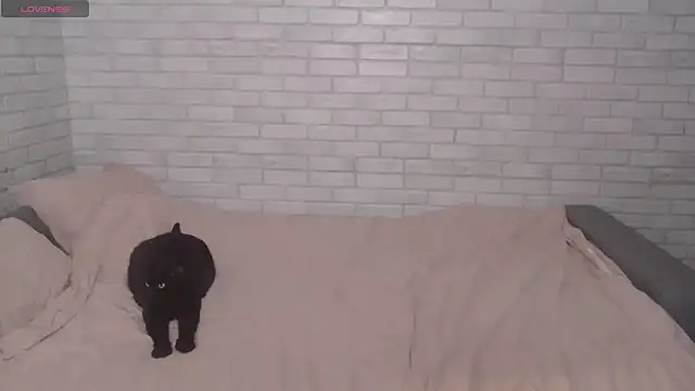 Fuckyoursecretary69 online show from 12-09-24, 12:19