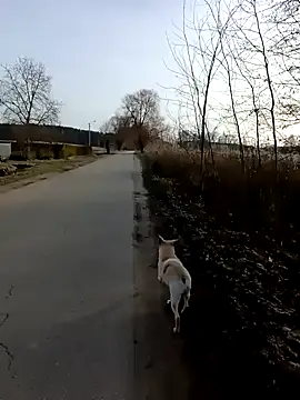 Snapshot of zxcalientes chatting on 01-01-25, 11:05 zxcalientes online show from 01-01-25, 11:05