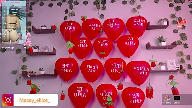 Snapshot of macey_elliot_ chatting on 02-15-25, 02:55 macey elliot online show from 02-15-25, 02:55