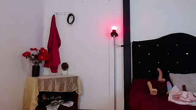 sirax66 online show from 02-13-25, 03:50