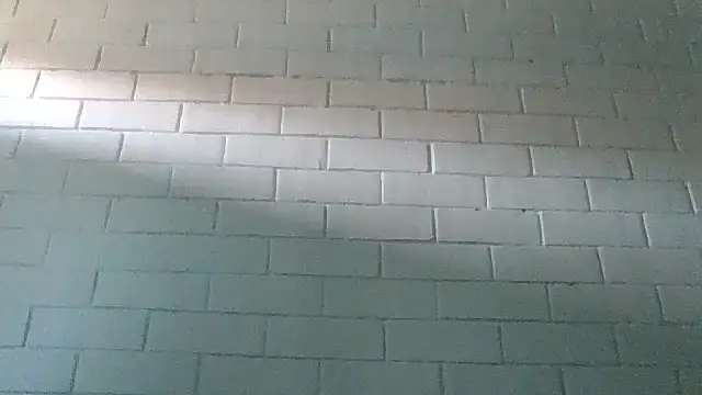 Snapshot of GiveLove1 chatting on 02-19-25, 09:36 GiveLove1 online show from 02-19-25, 09:36