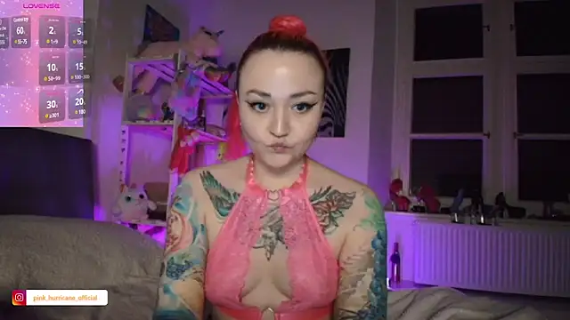 Snapshot of PinkHurricaneOfficial chatting on 01-30-25, 10:19 PinkHurricaneOfficial online show from 01-30-25, 10:19