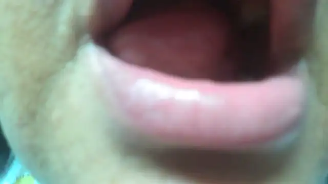 Shanttal0272 online show from 03-29-26, 04:56