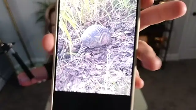 rodeobrii online show from 11-17-25, 03:34