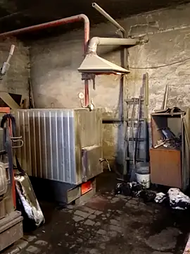 MityaXLoves online show from 01-31-26, 07:11