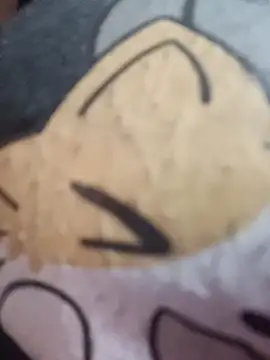 karlamorris  online show from 11-01-25, 01:02