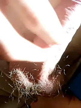 Snapshot of NudeYogaBoy chatting on 01-07-25, 12:31 NudeYogaBoy online show from 01-07-25, 12:31