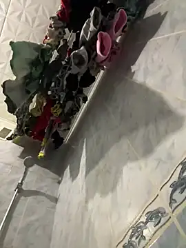 DesireMelissa online show from 01-20-25, 04:55