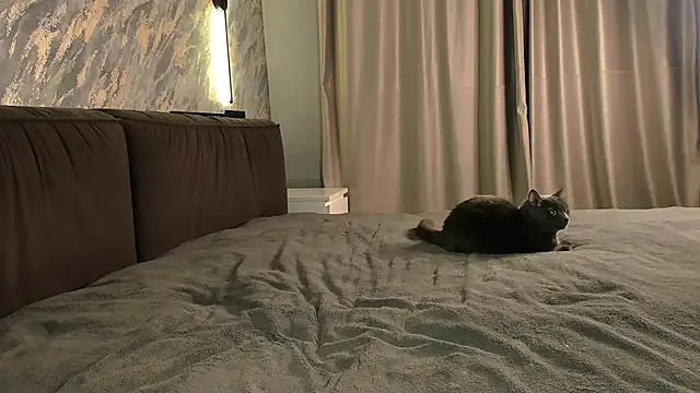 Snapshot of laflamebella chatting on 09-28-25, 05:07 laflamebella online show from 09-28-25, 05:07