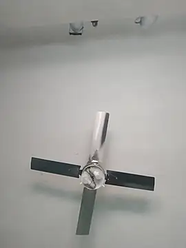 nicedick bro online show from 10-06-25, 06:38