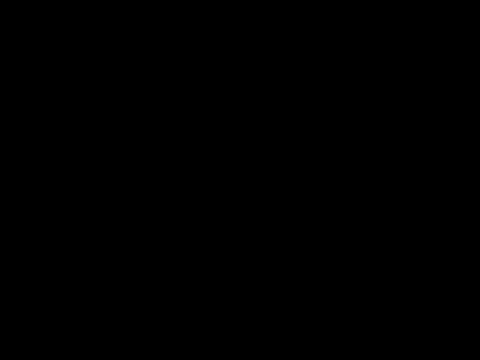 Snapshot of Lutfuberk chatting on 12-15-24, 10:28 Lutfuberk online show from 12-15-24, 10:28