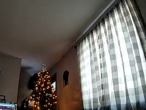 Seymour93 online show from 01-30-25, 01:31