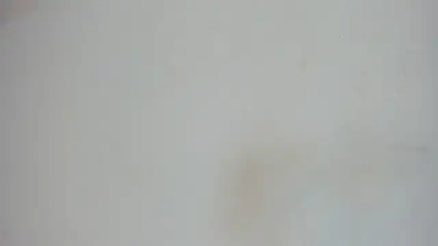 Snapshot of nami_sam01 chatting on 01-31-25, 11:56 nami sam01 online show from 01-31-25, 11:56