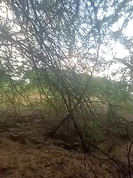 Snapshot of lovesuna chatting on 09-30-25, 01:32 lovesuna online show from 09-30-25, 01:32