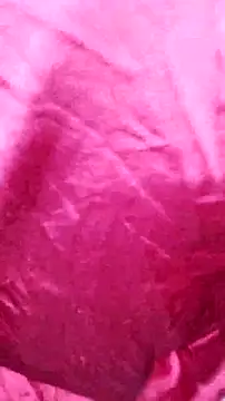 Snapshot of Kitty_Doll69 chatting on 11-04-25, 07:46 Kitty Doll69 online show from 11-04-25, 07:46