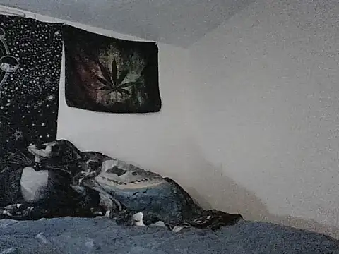 Snapshot of webetokinmo420 chatting on 11-29-25, 10:29 webetokinmo420 online show from 11-29-25, 10:29