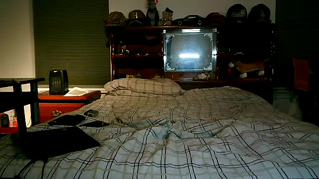 pimpdaddy4ever online show from 04-15-26, 03:24