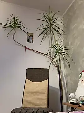 derek1494 online show from 01-09-26, 09:27