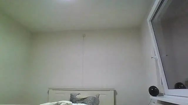 Wesleymodel online show from 02-10-26, 07:18