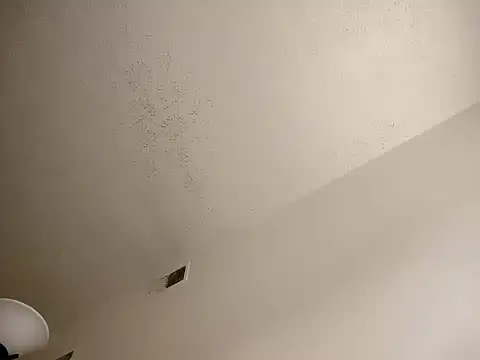 Snapshot of Barrentine88 chatting on 03-18-25, 10:37 Barrentine88 online show from 03-18-25, 10:37