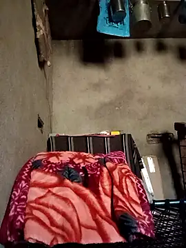 Yasha 14C Creator online show from 01-11-26, 05:45