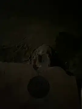 Snapshot of nowex18 chatting on 03-14-25, 05:48 nowex18 online show from 03-14-25, 05:48