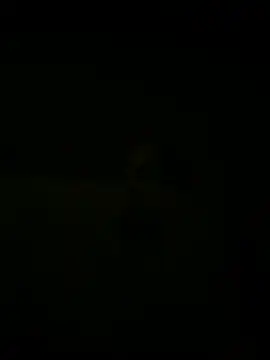 Snapshot of nowex18 chatting on 03-18-25, 05:41 nowex18 online show from 03-18-25, 05:41