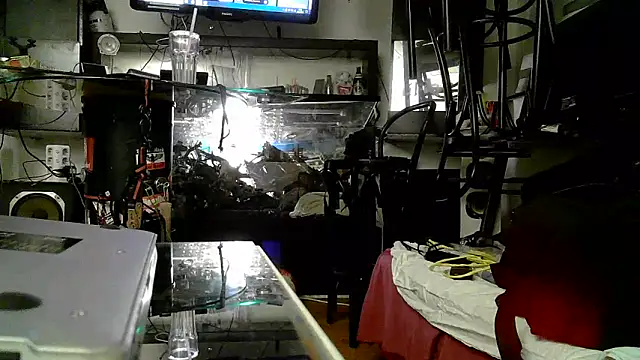 0815lukas2024 online show from 11-03-25, 05:03