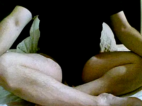 pollarikaaa online show from 12-02-24, 04:42