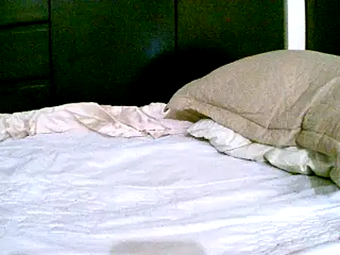 pollarikaaa online show from 12-07-24, 09:55