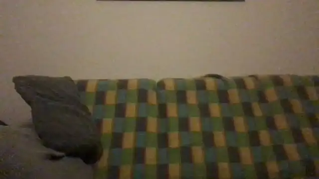 Totipro69 online show from 12-04-24, 10:19