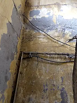 ListedLoin online show from 02-13-26, 08:32