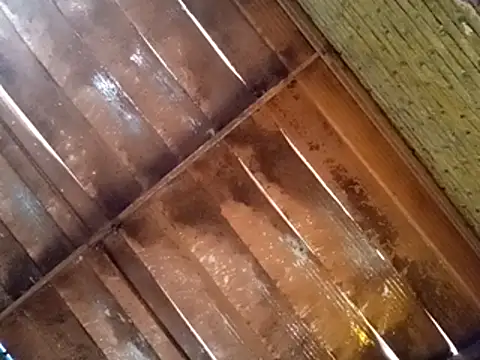 Pablunt-rap online show from 11-14-25, 02:16