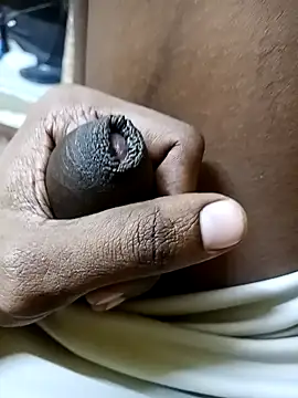 Snapshot of Tamil_boy_age28 chatting on 11-07-25, 07:25 Tamil boy age28 online show from 11-07-25, 07:25