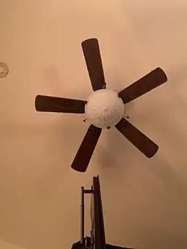 holyeroticss online show from 11-28-25, 12:13