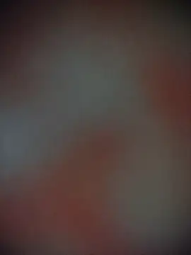 Snapshot of Bengoli--bhabhi chatting on 11-22-25, 12:37 Bengoli--bhabhi online show from 11-22-25, 12:37