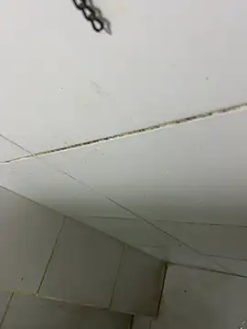 Snapshot of thfrances chatting on 02-27-26, 03:39 thfrances online show from 02-27-26, 03:39