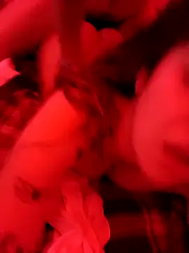 Elenitacandy online show from 11-19-25, 04:18