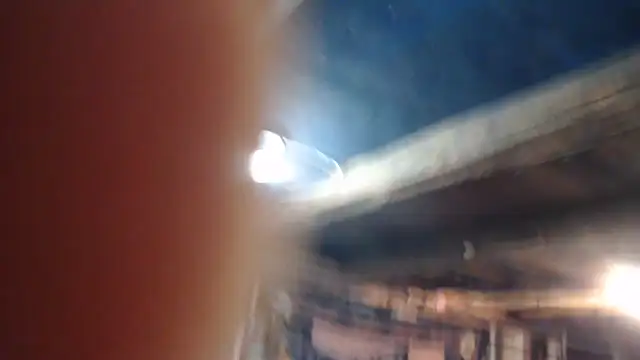 Newfiesausage1972 online show from 02-21-26, 09:27