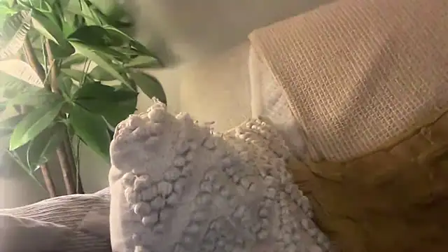 Snapshot of toptugger chatting on 10-17-25, 07:27 toptugger online show from 10-17-25, 07:27